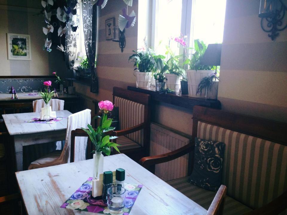 Inn Gosciniec Pod Brzozami